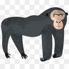 Cartoon, HD Png Download - gorilla clipart png