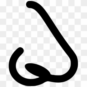 Nose, HD Png Download - nose.png