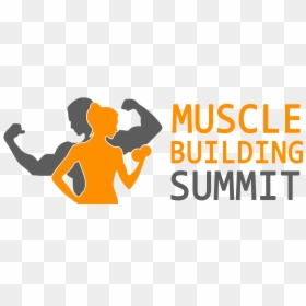 Summit Muscle Workout Chart, HD Png Download - muscular arm png