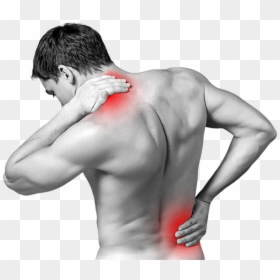 Osteoarthritis Hd, HD Png Download - muscular arm png