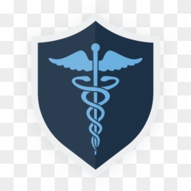 Fda Medical Device Symbols - Advanced Practices In Nursing Journal, HD Png Download - medical symbols png
