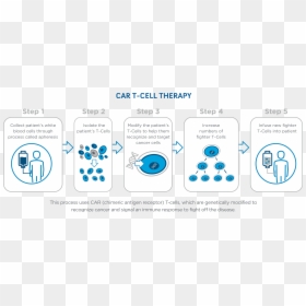 Car T Cell Therapy Steps, HD Png Download - blood cells png
