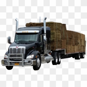 Delivery Truck Unloading Png- - Trailer Truck, Transparent Png - free shipping truck png