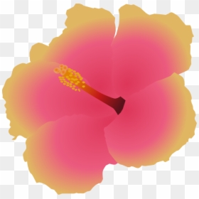 Hibiscus - Hawaiian Hibiscus, HD Png Download - hawaiian flower vector png