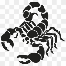 Cancer Astrology Png Download - Scorpion Drawing, Transparent Png - astrology png