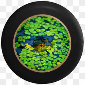 Transparent Lily Pads Png - Admiring Bog, Png Download - lily pads png