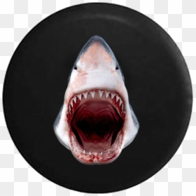 Great White Shark, HD Png Download - shark mouth png