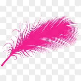 Purple Feather Png -purple Feather Png, Transparent - Illustration, Png Download - feather png transparent