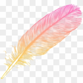 #ombre #feather #feathers #native #boho #pretty #decals - Oval, HD Png Download - feather png transparent