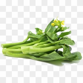 Transparent Bok Choy Png - Choi Sum Cartoon, Png Download - bok choy png