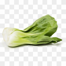 Chinese-cabbage - Shanghai Bok Choy, HD Png Download - bok choy png