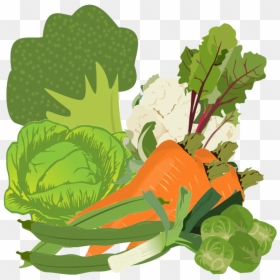Mixed Vegetables Image - Broccoli, HD Png Download - vegetales png