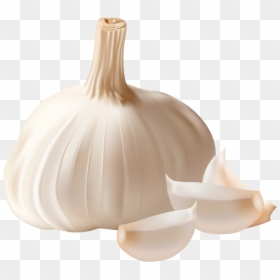 Garlic Png, Transparent Png - vegetales png