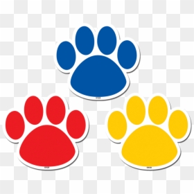 Transparent Paw Print Border Clipart - Colorful Paw Prints, HD Png Download - accents png