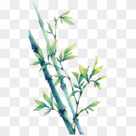 Transparent Bamboo Leaves Png - Bamboo Watercolour, Png Download - bamboo leaves png
