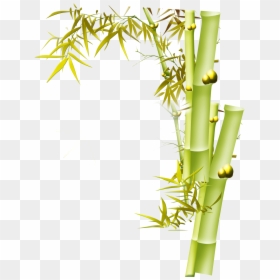 Transparent Bamboo Leaves Png - Bamboo Design Transparent, Png Download - bamboo leaves png