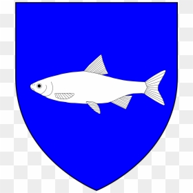 Heraldry Vector Shark - Blue Shield, HD Png Download - png shark
