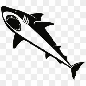 Lamnidae,shark,requiem Shark - Desenho De Tubarão Ataca Pessoas Domínio Público, HD Png Download - png shark