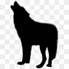 Wolf Png Clip Art, Transparent Wolf Png For Free - Animal, Png Download - wolf png image