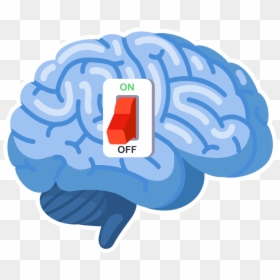 Brain Lobes, HD Png Download - lit joint png