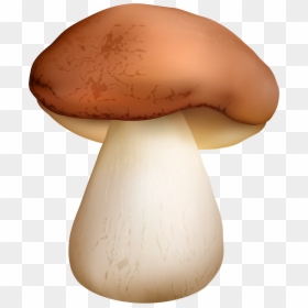 Boletus Mushroom Png Clipart - Mushrooms Png, Transparent Png - penny clipart png