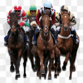 Horse Races Png, Transparent Png - running horse png