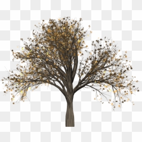 Free Brushes Trees Photoshop, HD Png Download - tree leaf png
