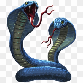 Cobra Png - Cobras En Png, Transparent Png - cobra snake png