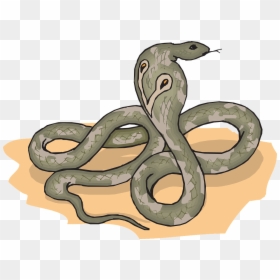 Animals, HD Png Download - cobra snake png