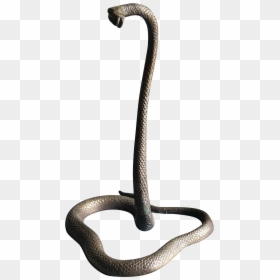 Clip Art King Cobra Standing, HD Png Download - cobra snake png