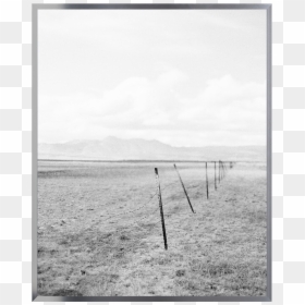 Metal Gallery Bright Silver - Monochrome, HD Png Download - antique silver frame png