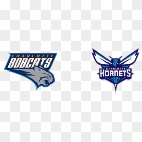 Charlotte Hornets Png Image - Charlotte Bobcats Logo Png, Transparent Png - charlotte hornets png