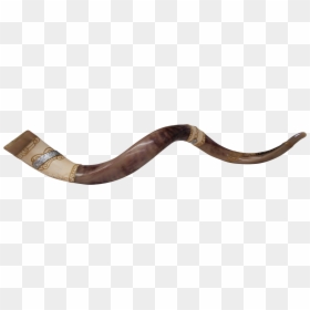 Shofar Png File - Shofar, Transparent Png - earthworm png