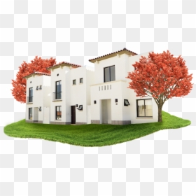 Acer Tree, HD Png Download - casas png