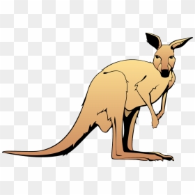 Brown, Australia, Kangaroo, Pouch, Long, Hop, Animal - Kangaroos Clip Art, HD Png Download - kangaroo clipart png