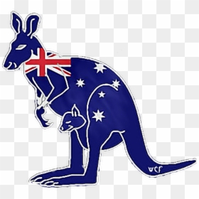 Flag Animal Kangaroo Freetoedit - Aussie Flag Kangaroo Transparent, HD Png Download - kangaroo clipart png