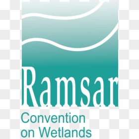 Ramsar Convention On Wetlands, HD Png Download - wetland png