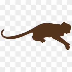 Puma Clipart , Png Download - Kangaroo, Transparent Png - kangaroo clipart png