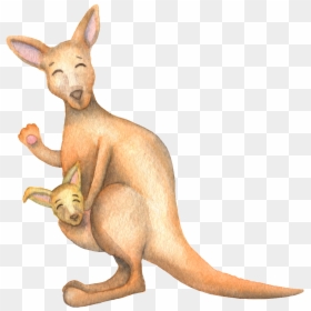 Clip Art Cartoon Design Cute Smiling, HD Png Download - kangaroo clipart png