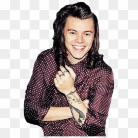 Transparent Harry Styles Png - Harry Styles Long Hair Png, Png Download - harry styles transparent png