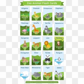Transparent Zoo Animals Png - Zoo Animal Flashcards Free Printable, Png Download - zoo animals png
