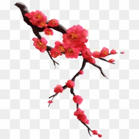 Transparent Plums Clipart, HD Png Download - plums png
