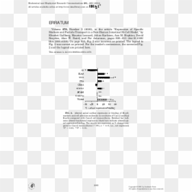Document, HD Png Download - cell bars png