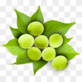 Sweet Lemon, HD Png Download - plums png