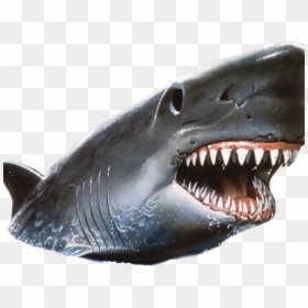 Shark Png Transparent Images - Jaws, Png Download - shark png transparent