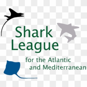 Transparent Mako Shark Png, Png Download - shark png transparent