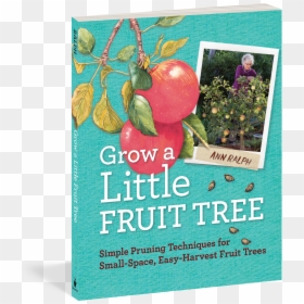 Cover, HD Png Download - plums png
