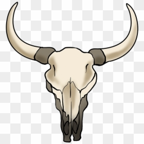 How To Draw Bull Skull - Draw A Cow Skull, HD Png Download - bull horns png