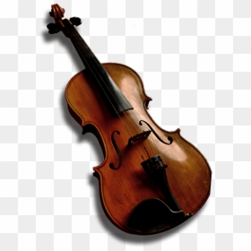 Bass Violin Viola Violone Double Bass - Bass Violin, HD Png Download - double bass png