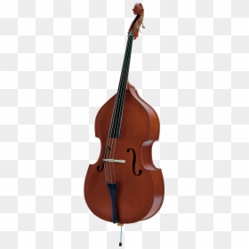 Double Bass Bass Guitar String Instruments Electric - Palatino Vb 004, HD Png Download - double bass png